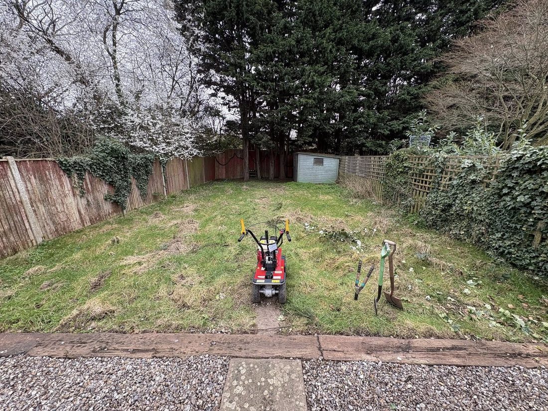 Overgrown rough lawn before clearance
